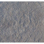 Proline Seamless Quartzite